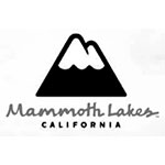 Mammoth Lakes travel agent